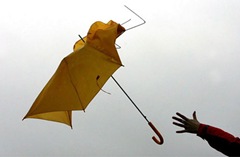 umbrella460